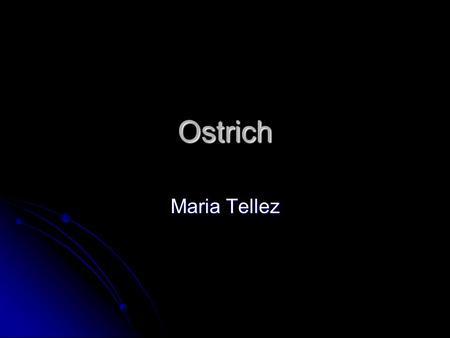 Ostrich Maria Tellez. Basic Information on the animal The Ostrich is a large flightless bird native to Africa. The Ostrich is a large flightless bird.