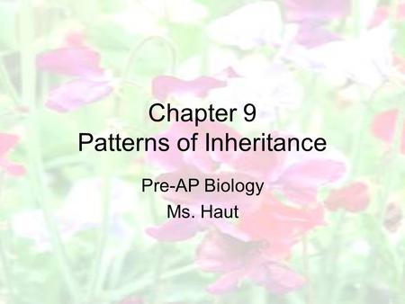 Chapter 9 Patterns of Inheritance