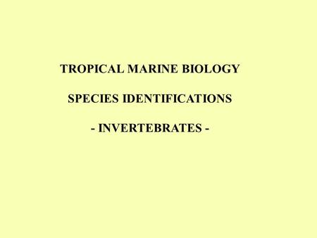 TROPICAL MARINE BIOLOGY SPECIES IDENTIFICATIONS - INVERTEBRATES -