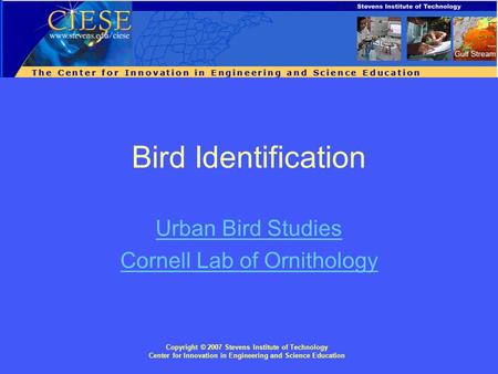 Copyright © 2007 Stevens Institute of Technology Center for Innovation in Engineering and Science Education Bird Identification Urban Bird Studies Cornell.