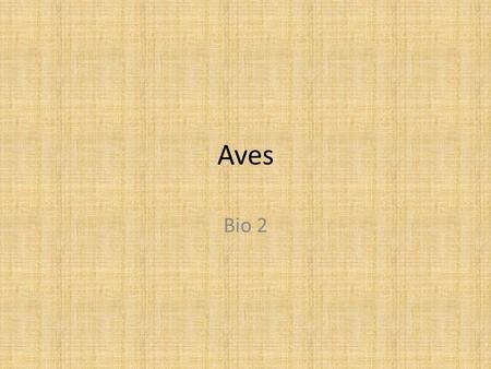 Aves Bio 2. Class Aves Feathers No teeth Flexible long neck – One occipital condyle Scales on legs Bones with air spaces Endothermic Four chambered heart.