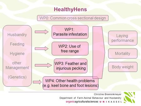 Christine Brenninkmeyer Department of Farm Animal Behaviour and Husbandry HealthyHens WP3: Feather and injurious pecking WP4: Other health problems (e.g.