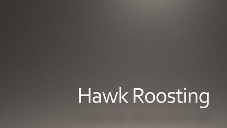 Hawk Roosting I sit in the top of the wood, my eyes closed. Inaction, no falsifying dream Between my hooked head and hooked feet: Or in sleep rehearse.