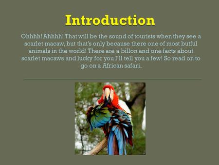 Ohhhh! Ahhhh! That will be the sound of tourists when they see a scarlet macaw, but that’s only because there one of most butful animals in the world!