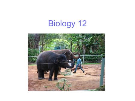 Biology 12.