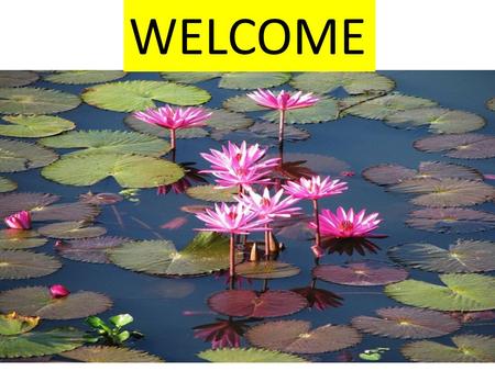 WELCOME. PRESENTED BY: MD MIZANUR RAHMAN. ASSISTANT TEACHER(ENGLISH). SIDDHIPASHA P/B HIGH SCHOOL. ABHAYNAGOR, JESSORE.