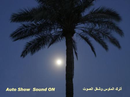 Auto Show Sound ON أترك الماوس وشغل الصوت Between Sunset and Sunrise Baghdad بغداد بين غروب الشمس و الشروق.