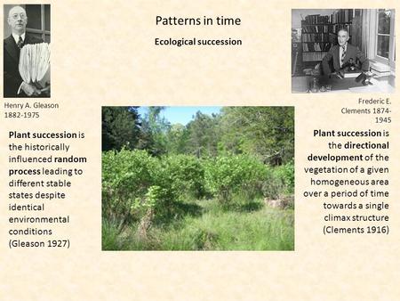 Ecological succession