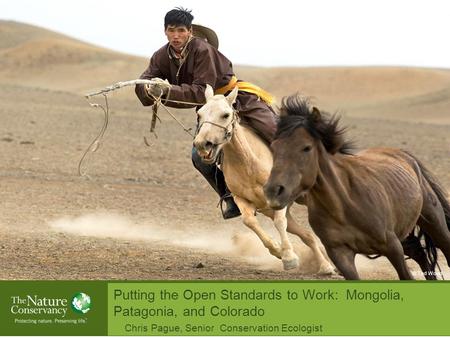 Putting the Open Standards to Work: Mongolia, Patagonia, and Colorado Chris Pague, Senior Conservation Ecologist © Ted Wood.