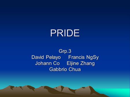 PRIDE Grp.3 David Pelayo Francis NgSy Johann Co Eljine Zhang Gabbrio Chua.