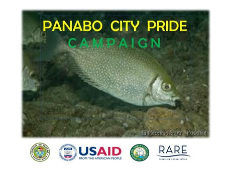 LGU Logo Partn er Logo PANABO CITY PRIDE C A M P A I G N.