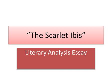 Literary Analysis Essay