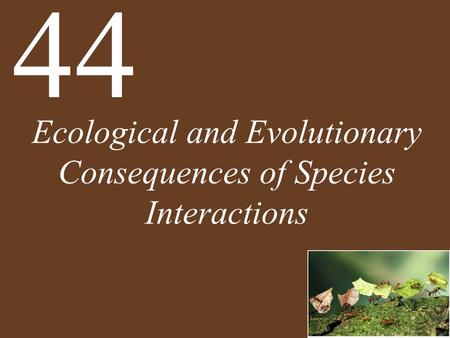 Ecological and Evolutionary Consequences of Species Interactions