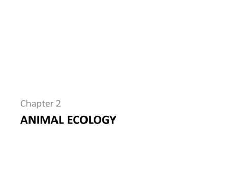 Chapter 2 Animal Ecology.