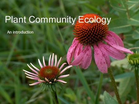 Plant Community Ecology An introduction. Ecology as a Science  Study of the relationships between living organisms and their environment  Of the interactions.