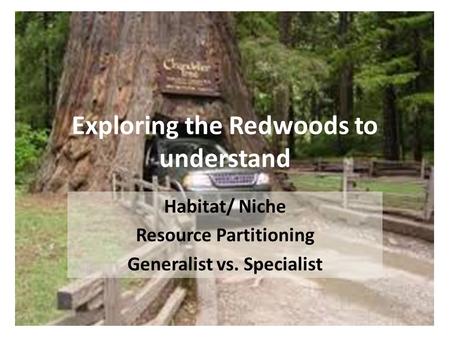 Exploring the Redwoods to understand Habitat/ Niche Resource Partitioning Generalist vs. Specialist.