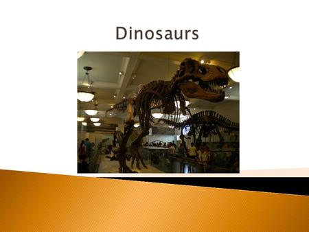 1) Why Study Dinosaurs? 2) “Dinosaurs Are Not Mentioned in the Bible!” 3) A Living Dinosaur! 4) Did Humanity and Dinosaurs Coexist? 5) What Happened to.