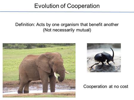 Evolution of Cooperation Definition: Acts by one organism that benefit another (Not necessarily mutual) Cooperation at no cost.