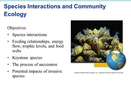 Species Interactions and Community Ecology