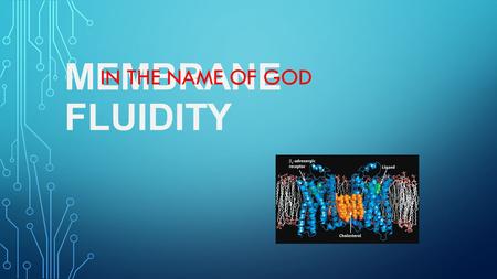 MEMBRANE FLUIDITY IN THE NAME OF GOD. IN BIOLOGY, MEMBRANE FLUIDITY REFERS TO THE VISCOSITY OF THE LIPID LAYER OF A CELL MEMBRANE OR A SYNTHETIC LIPID.