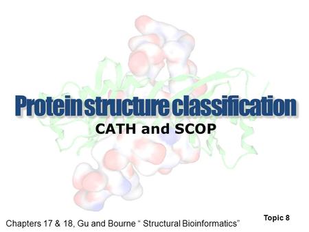 CATH and SCOP Topic 8 Chapters 17 & 18, Gu and Bourne “ Structural Bioinformatics”