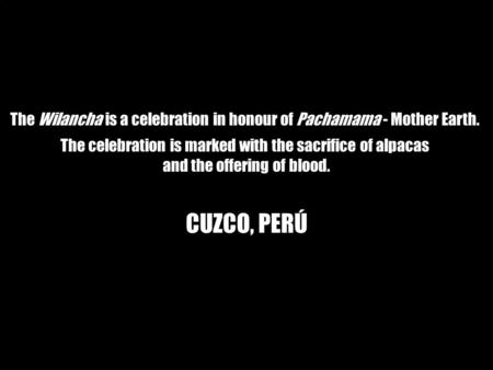 The Wilancha is a celebration in honour of Pachamama - Mother Earth. The celebration is marked with the sacrifice of alpacas and the offering of blood.