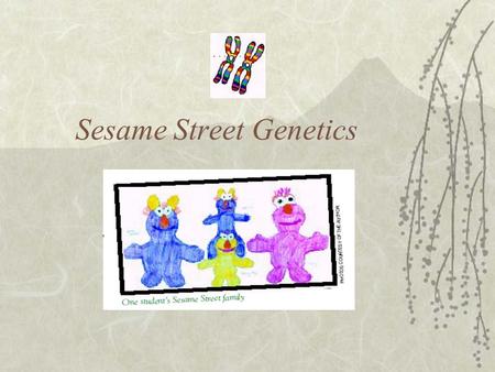 Sesame Street Genetics