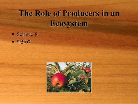 The Role of Producers in an Ecosystem