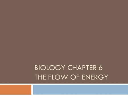 BIOLOGY CHAPTER 6 THE FLOW OF ENERGY. Objectives  Distinguish between endergonic and exergonic reactions.  Explain how ATP is used in linking the two.