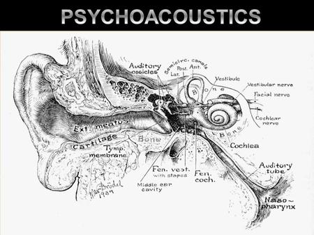 Structure of human ear Understanding the processes of human auditory system are key for posting requirements for architectural acoustics. This gives us.