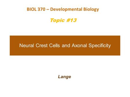 Neural Crest Cells and Axonal Specificity