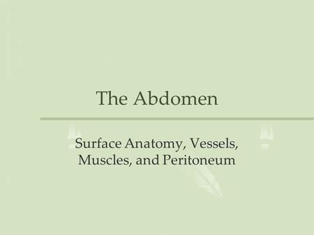 Surface Anatomy, Vessels, Muscles, and Peritoneum