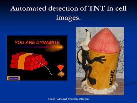 Erlend Hodneland, University of Bergen Automated detection of TNT in cell images.