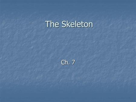 The Skeleton Ch. 7.