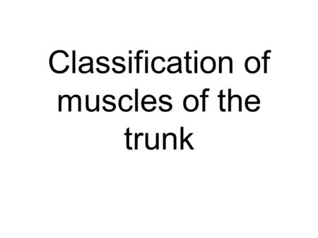 Classification of muscles of the trunk