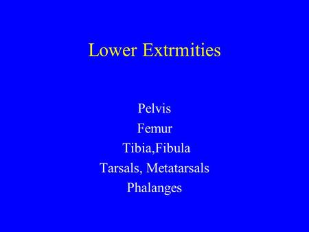 Pelvis Femur Tibia,Fibula Tarsals, Metatarsals Phalanges