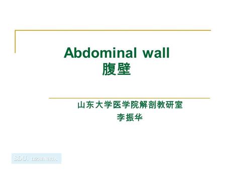 Abdominal wall 腹壁 山东大学医学院解剖教研室 李振华.