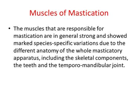 Muscles of Mastication