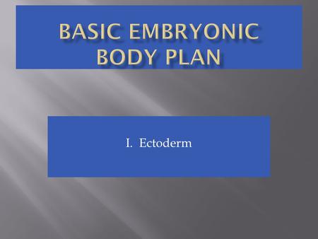 I. Ectoderm. 60 X 1.Neural tube3. somite 5. yolk sac 7. aorta 2.Amniotic cavity 4. nephrogenic cord 6. notochord8. embryonic.