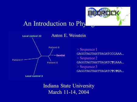 An Introduction to Phylogenetics > Sequence 1 GAGGTAGTAATTAGATCCGAAA… > Sequence 2 GAGGTAGTAATTAGATCTGAAA… > Sequence 3 GAGGTAGTAATTAGATCTGTCA… Anton E.