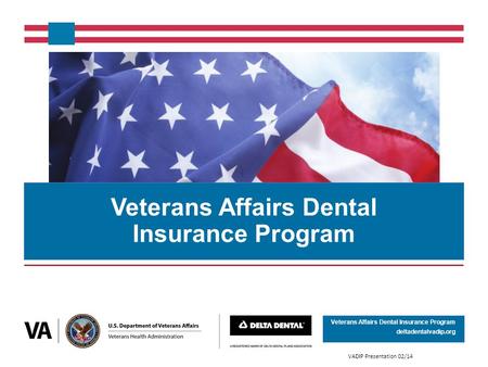 Veterans Affairs Dental Insurance Program