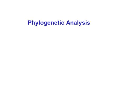 Phylogenetic Analysis