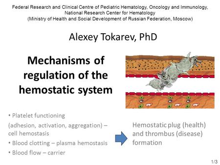 Mechanisms of regulation of the hemostatic system Platelet functioning (adhesion, activation, aggregation) – cell hemostasis Blood clotting – plasma hemostasis.