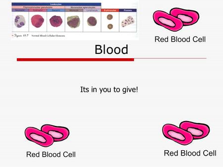 Blood Its in you to give!. Blood  If you took a snapshot of where blood is at any given moment, there would be 10 % is in the lungs, 5% heart, and 85%