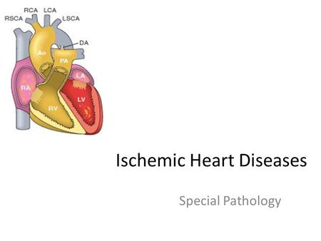 Ischemic Heart Diseases