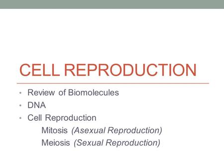 CELL REPRODUCTION Review of Biomolecules DNA Cell Reproduction Mitosis (Asexual Reproduction) Meiosis (Sexual Reproduction)