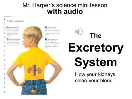 Mr. Harper’s science mini lesson with audio