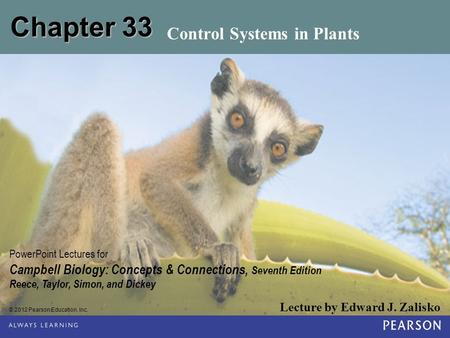 Control Systems in Plants