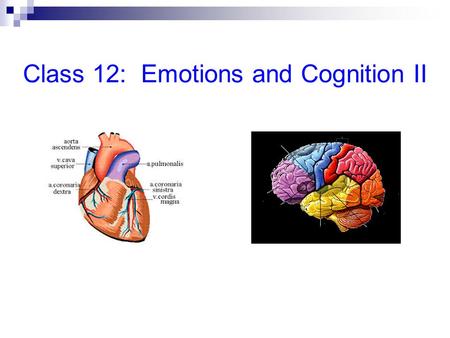 Class 12: Emotions and Cognition II. What comes first, thinking or feeling? Appraisal Theory: Thinking comes first Example: Wake in panic, it’s 8:30,