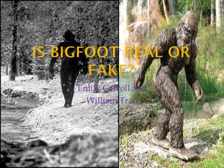 Emily Carroll and William Tran.  Bigfoot (hunters) can just fake footprints with casts and stomp on the ground.  Pictures of Bigfoot could just be pictures.